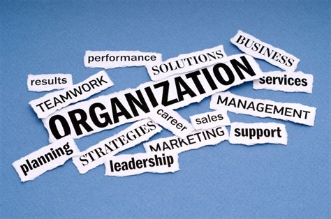 OUR ORGANIZATION .